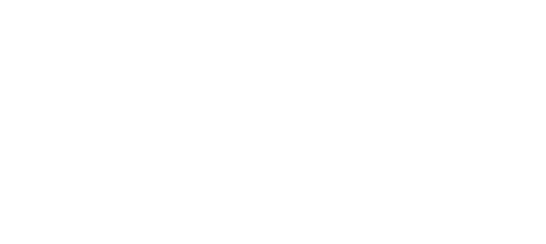 Logo Brownstoners blanco